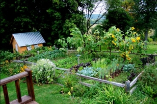 мой сад и огород видео