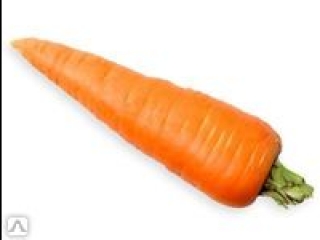 семена моркови как выбрать
