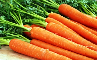 чем хорошо укрыть грядки моркови на зиму?
