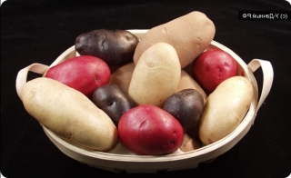 сорта картофеля для хранения на зиму