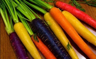 картинки овощей и фруктов для детского сада