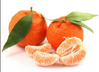 обработка абрикоса от болезней
